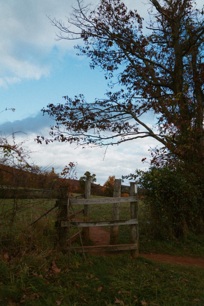 adventure elopement