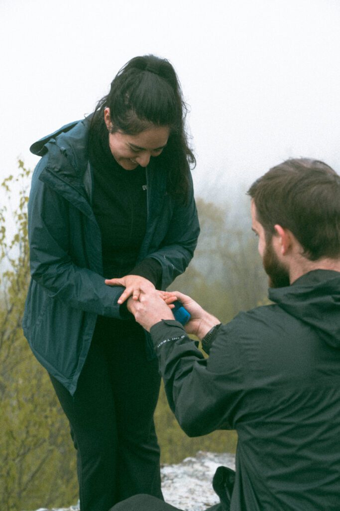 Surprise Proposal 