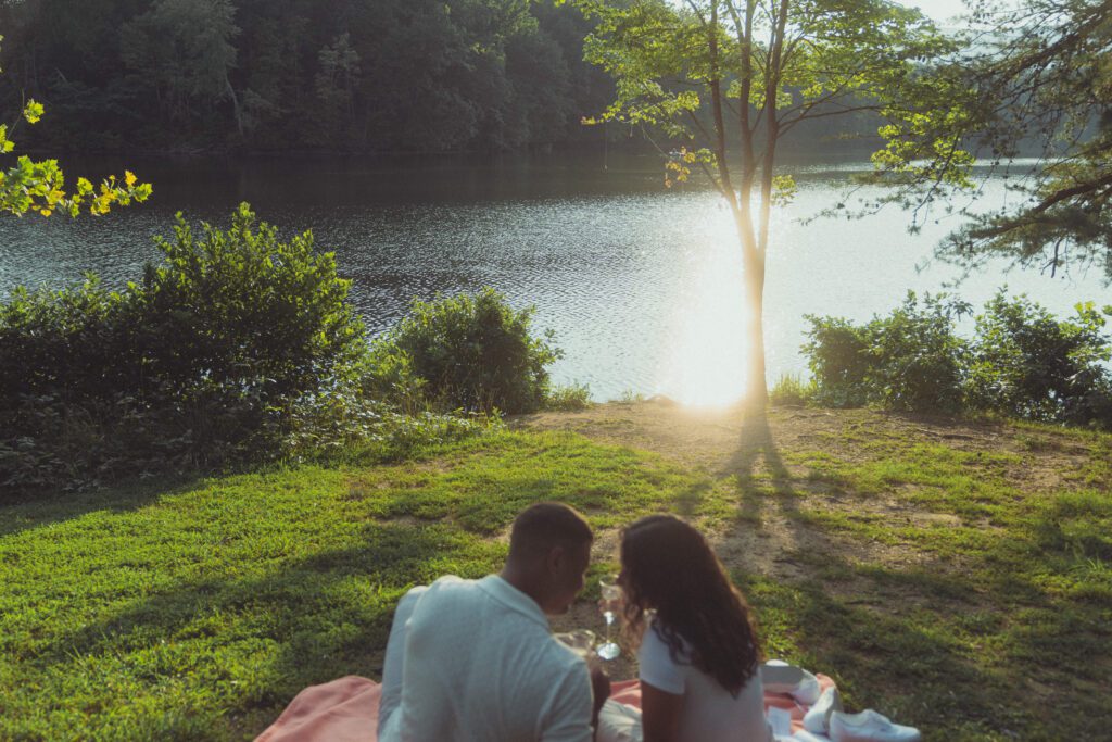 picnic in the park engagement