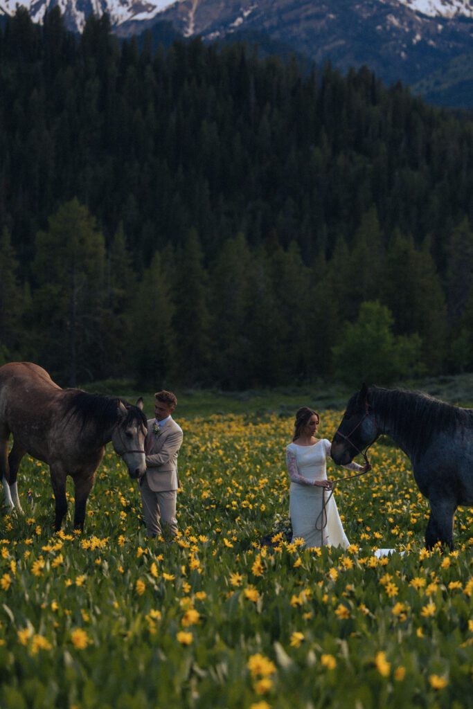 wyoming